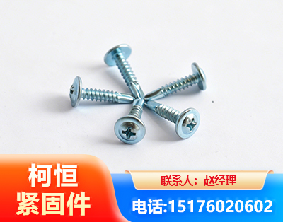 甘南华司钻尾丝