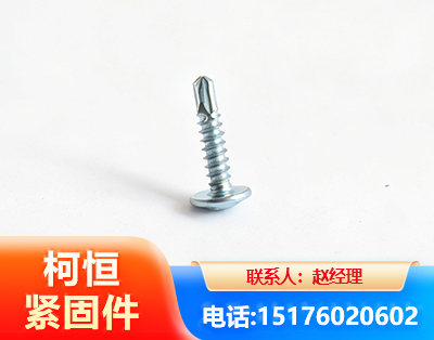 甘南华司钻尾丝